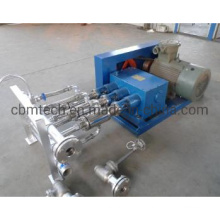 Factory Direct Sale L-CNG High Pressure Pumps